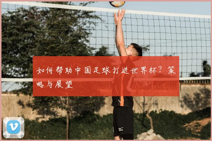 如何帮助中国足球打进世界杯？策略与展望
