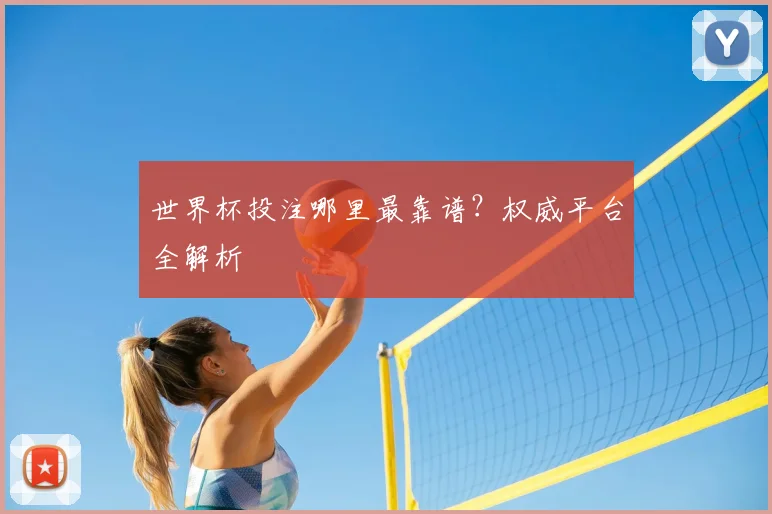 世界杯投注哪里最靠谱?权威平台全解析