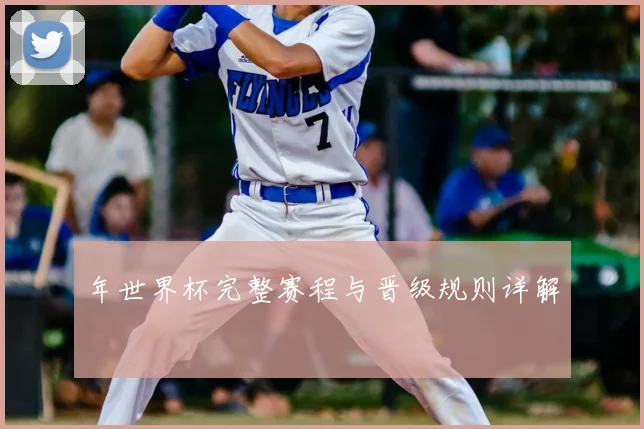年世界杯完整赛程与晋级规则详解
